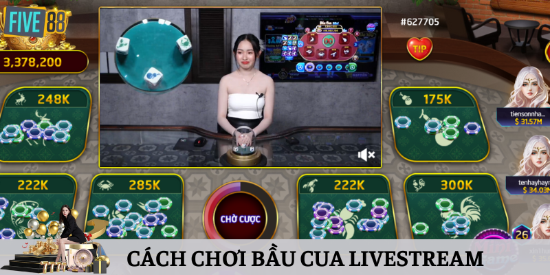 [Cập Nhật] Cách Chơi Bầu Cua Livestream Chuẩn Xác 100%