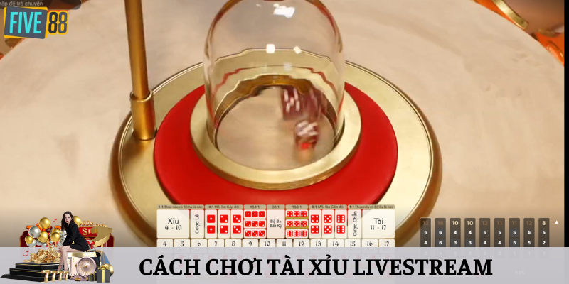 Cách Chơi Tài Xỉu Livestream Cùng 3 Quy Luật Đơn Giản